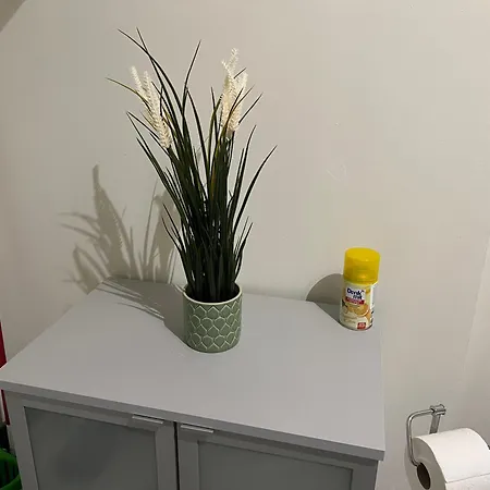 Bükkös Apartman